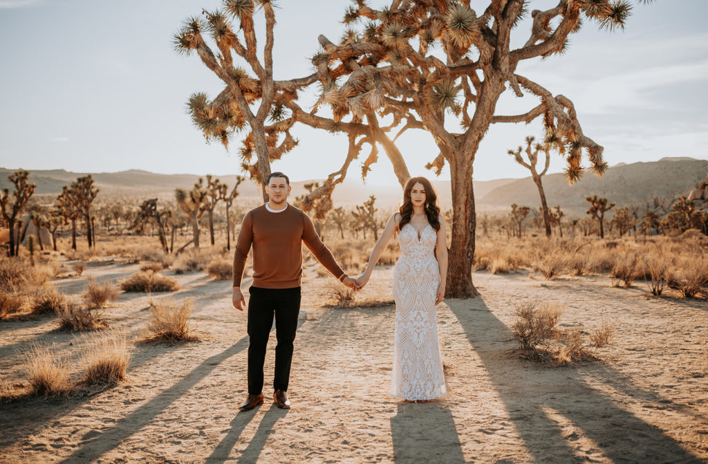 couple holding hands at joshua tree national park