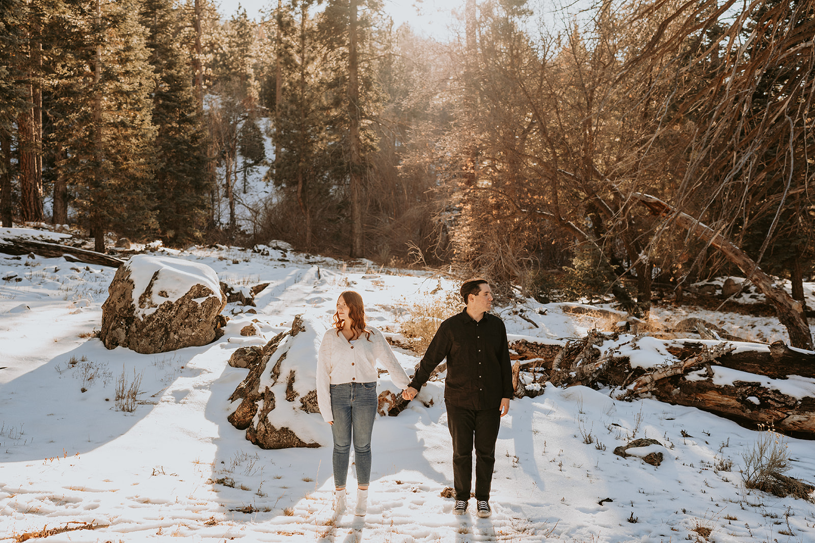 couple posing in the snowy mountains
