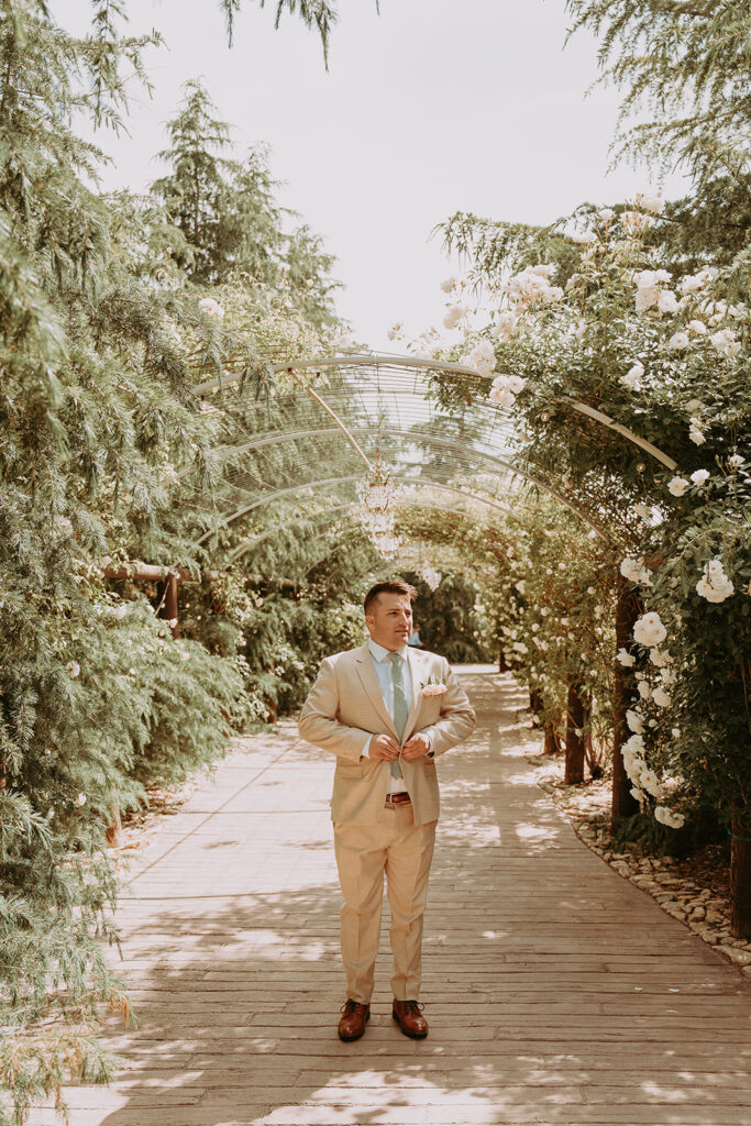 Man in suit under an aisle of trees