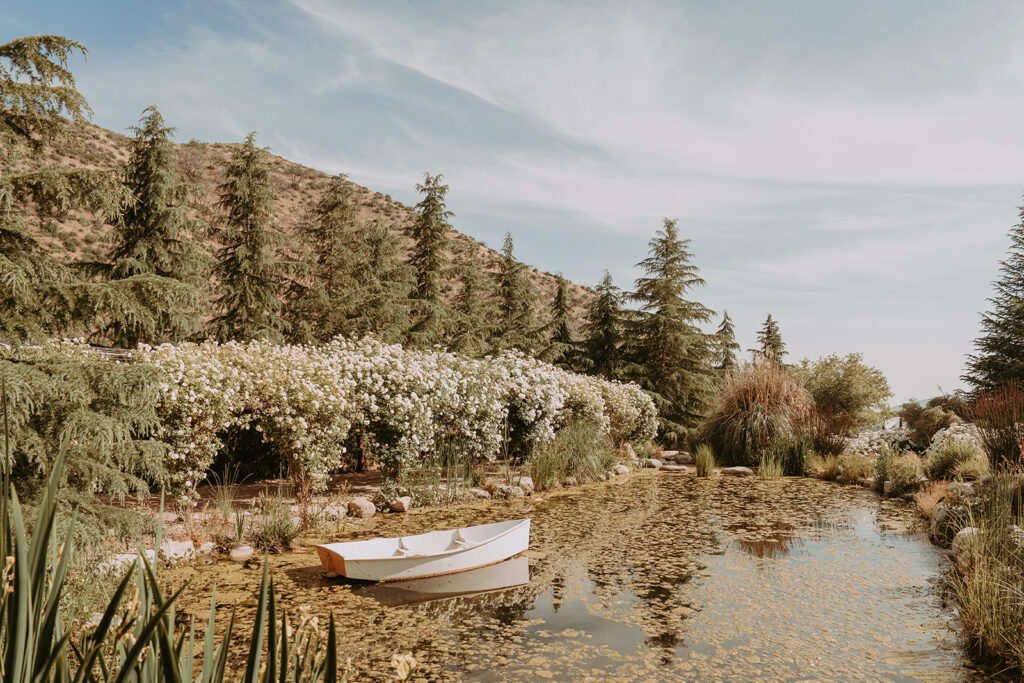 White boat in a pond with white flowers