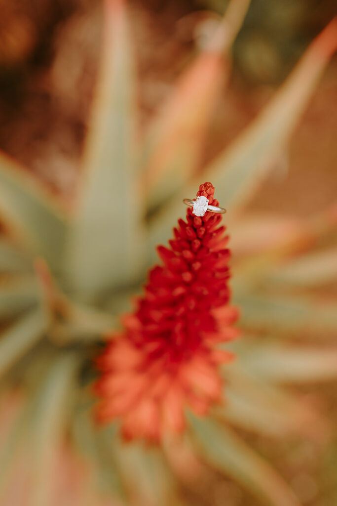 engagement ring on a red flower bloom 