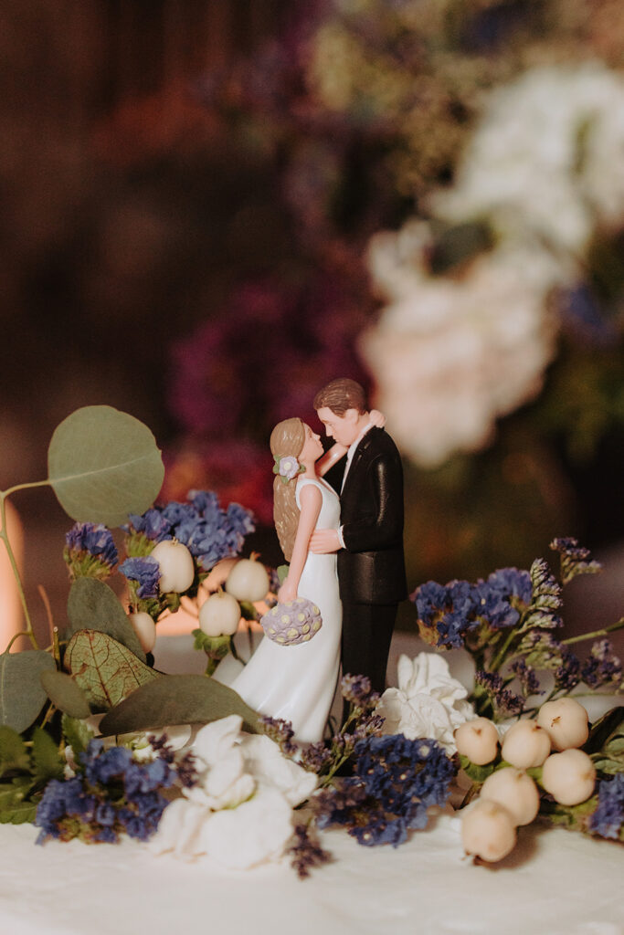 backyard reception cake topper