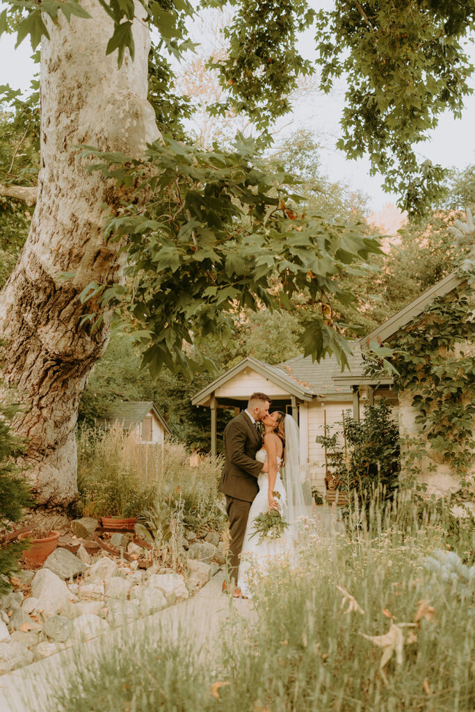 bride and groom surrounded by large trees at an oak glen wedding venue