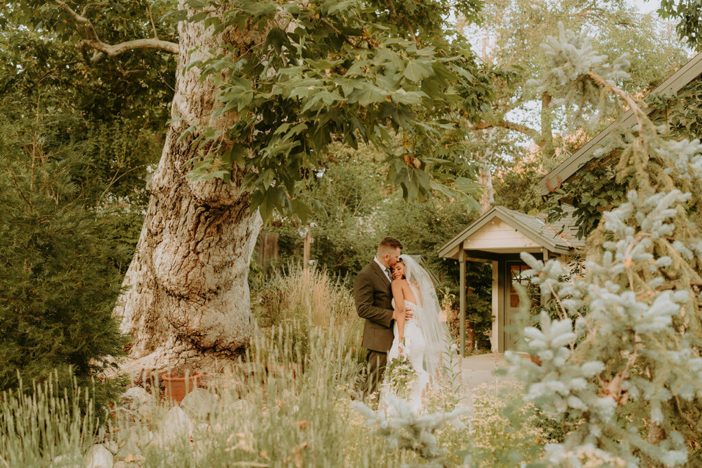 bride and groom surrounded by large trees