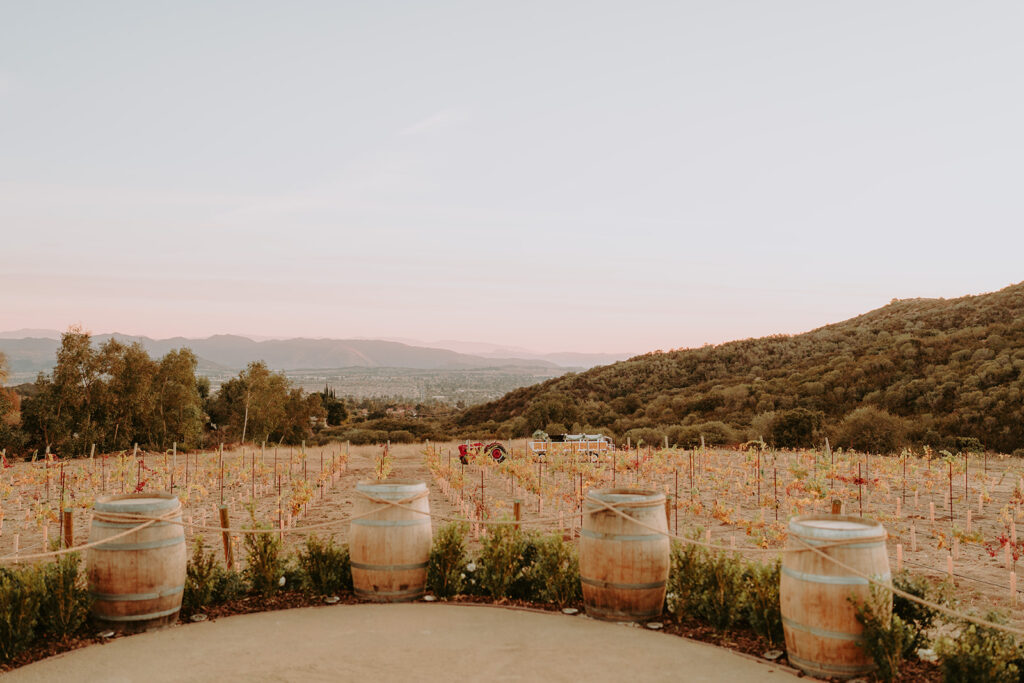 Golden hour light over the vineyard at Sacred Oak Vineyard, an outdoor rustic wedding venue in Cherry Valley