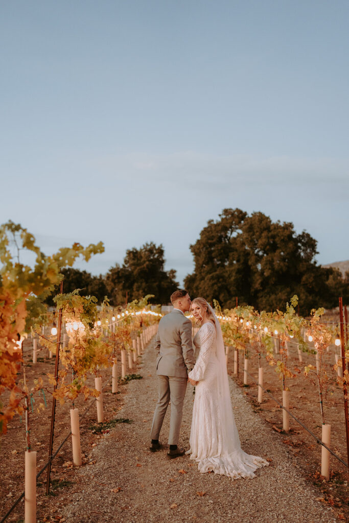 Golden hour light over the vineyard at Sacred Oak Vineyard, an outdoor rustic wedding venue in Cherry Valley